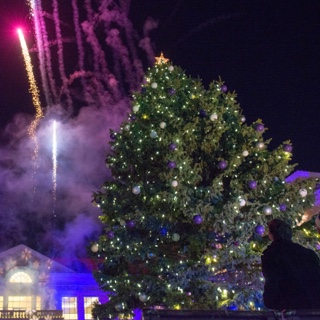 A large fresh tree is unveiled on the ɫ campus with lights, crowds, revelers and fireworks
